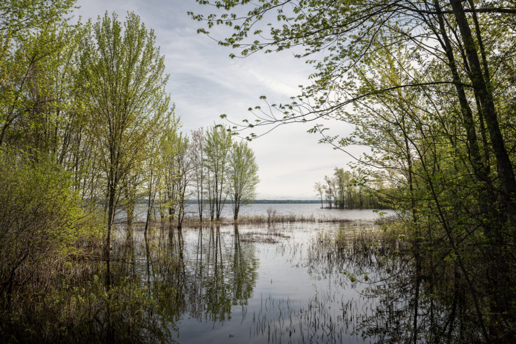 Marthe Bujold Photographs